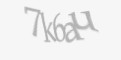 Защитный код