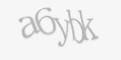 Защитный код