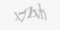 Защитный код