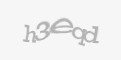 Защитный код