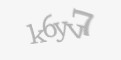 Защитный код