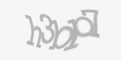 Защитный код
