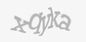 Защитный код