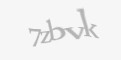 Защитный код